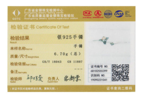 Certificado de teste apresentado na imagem original do produto